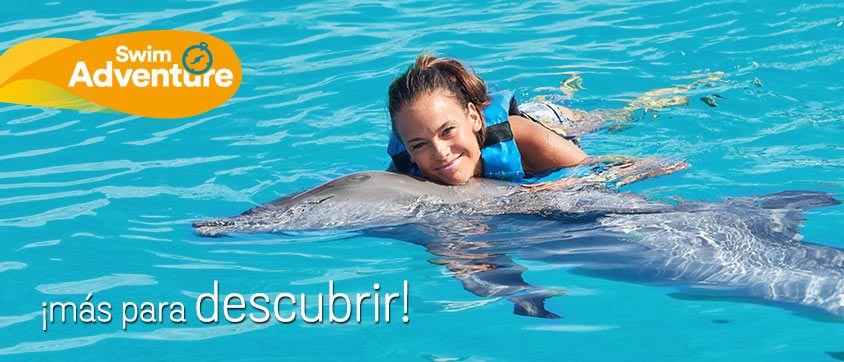 Dolphin Discovery Tortola