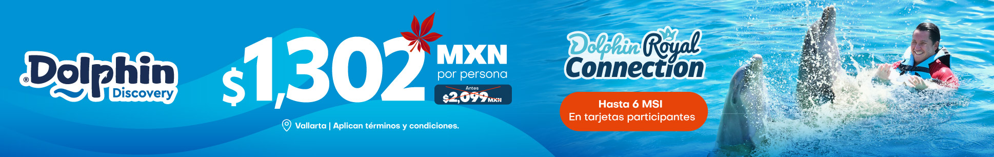 Promoción 2